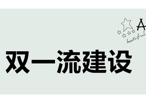 雙一流建設(shè)：優(yōu)先發(fā)展少數(shù)實力較強高校和學(xué)科