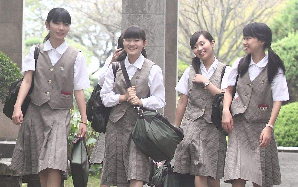 如何從高校自主招生簡章中獲取重要信息？ 